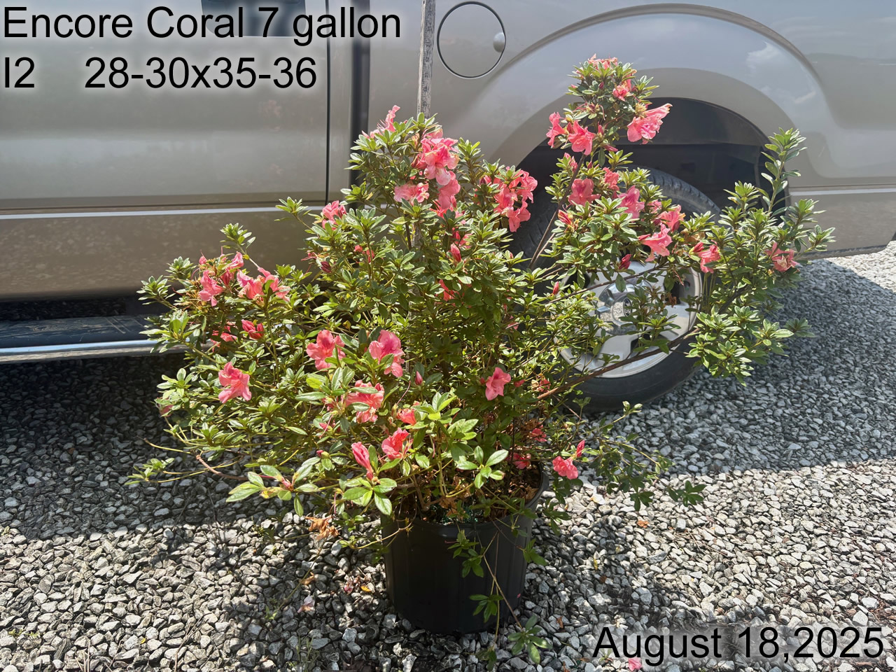 gallery/ecor7 i2 aug25.jpg